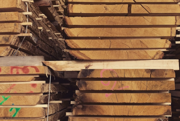 sawmill trip timber selection